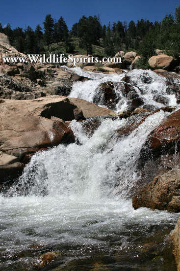 Click Picture to send as an  E-PostCard 63k 367x550